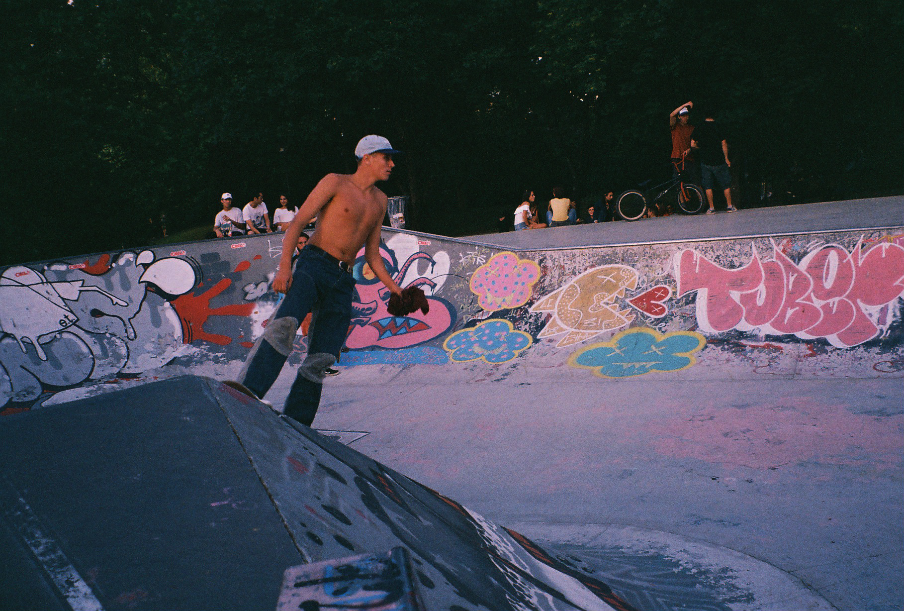 Skatepark des Ponts-Jumeaux